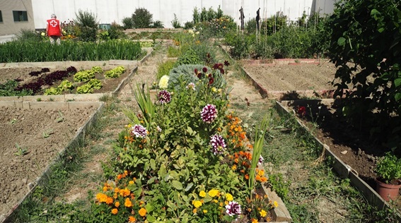 Imagen de un huerto con multitud de flores coloridas en la zona del medio.